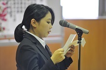 n3.jpg